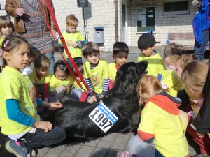 Abschlussveranstaltung Fitlauf (4)
